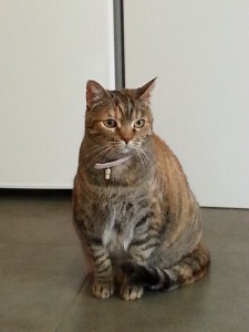 XIRA